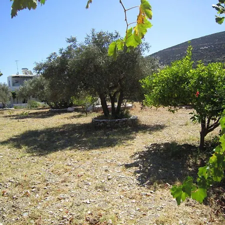 Apartment Elisso *