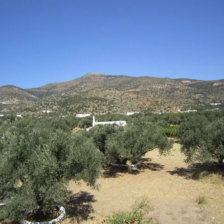 Elisso Apartment Platis Gialos (Sifnos)