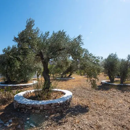 Apartamento Elisso Platis Gialos (Sifnos)