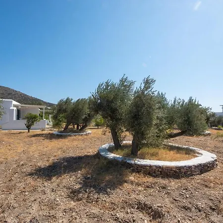 Elisso * Platis Gialos (Sifnos)