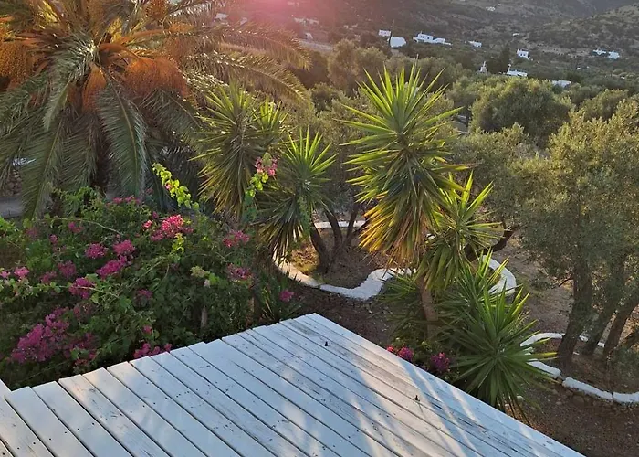 Elisso Platis Gialos (Sifnos)